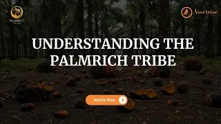 Understanding the Palmrich Tribe