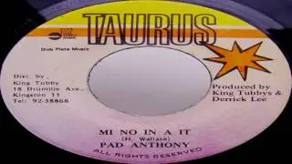Pad Anthony - Mi No In A It