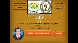 3- Nematocera 