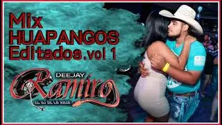 Mix Huapangos (Editados) Dj Ramiro El Dj De La Raza 2021