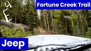 Climbing Fortune Creek Trail in Jeep Wrangler Unlimited Rubicon