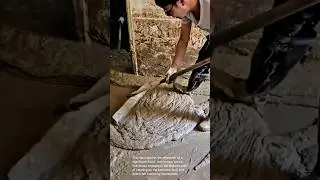 Post-Flood Cleanup: The Grueling Task of Mud Removal