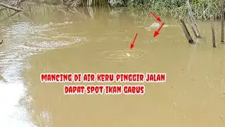 mancing di air keru Dapat spot ikan gabus semua sampai kewalahan sentak joran @fishing_1990