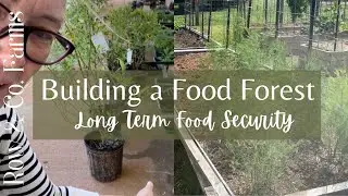 Building a Food Forest | Long Term Food Security