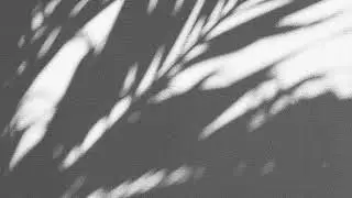 Luca Massaglia plays 