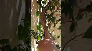 Yetkin club hotel  номер фэмили рум сентябрь 2021