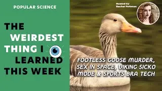 Footless Goose Murder, Sex in Space, Viking Sicko Mode, Sports Bra Tech | PopSci's Weirdest Thing