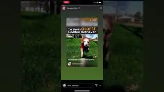 Super Collies Live 4