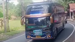 Gokil suara basurinya bus telolet basuri Fajar 61 Majesty#bustelolet#busartis#teloletbasuri