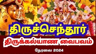Tiruchendur Murugan Thirukalyanam 2024 Live Telecast|திருச்செந்தூர் திருக்கல்யாணம் 2024 Live