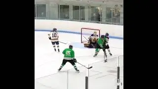 Next Level U Sports Hockey Combine