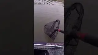Mid winter smallmouth fishing on Summersville lake!