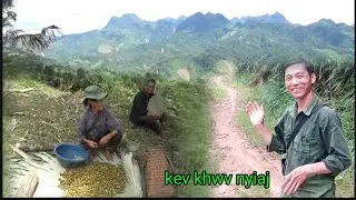 12/8/205 Txoov Lauj mus ua luam txiv qhaus kho siab kawg 