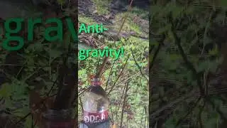 When your camera is attached to your grabber: ANTI-GRAVITY! #park cleanup #natureasmr #antigravity
