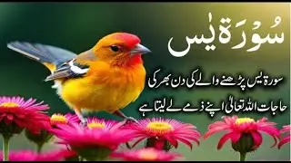 |Surah yaseen| heart tuching voice| /dil chu dana wali talawat/skoon dana wali awaz