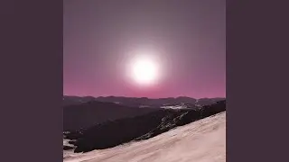 Moonlit Journey