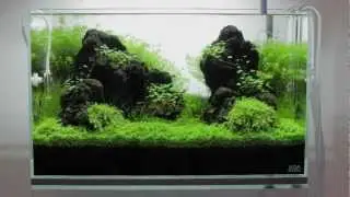 An ADA 60-P using Unzan Stone, part 3