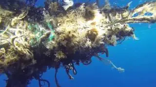Plastic Pollution In The Ocean
