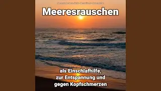 Meeresrauschen gegen Hundebellen