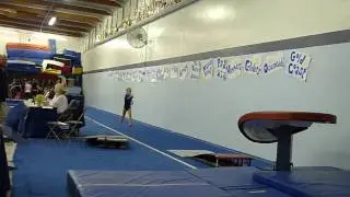 Butterfly Classic 2009 Corona Jackie Vault