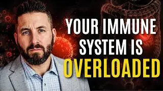 Gut Health: The Missing Piece in Many Chronic Symptoms