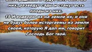 Тихое время с Живой Жизнью: Амос 9:7&ndash;15 (13112017)