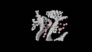 GCMC simulation