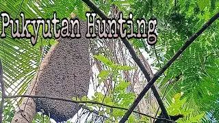 Pukyutan Hunting With Agri Tech Mix Tv|| AGRI AND ADVENTURES
