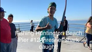 Fishing Huntington Beach Pier #12 HUGE THRESHER SHARK CAUGHT!!