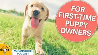 The COMPLETE Guide For First Time Puppy Owners!