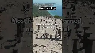 Most fears are learned, not instinctual &ndash; Fear Psychology