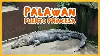 A Few Hours in Puerto Princesa | Quick City Adventure!