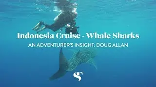 An Adventurer's Insight into Indonesia: Doug Allan