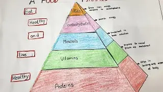 Food pyramid drawing | food pyramid science project | food pyramid school project, art and craft