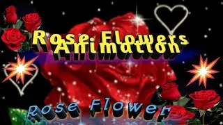 ll Rose Flowers Animation l Rose Flower ll @ommsuryavlogs9835