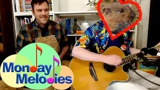 My One and Only Vole | Rodent Love Song by Monty Harper