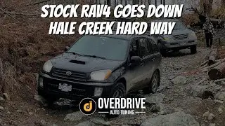 Hale Creek Hard Way Down in Stock RAV4 (Nov 2021)