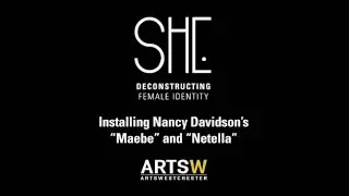 Time Lapse: Installing Nancy Davidson's 