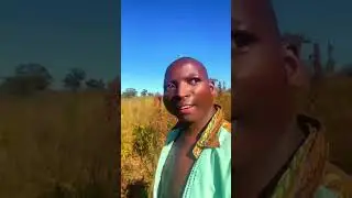 #zimbabwe #comedy