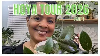 Hoya Collection Tour 2026!! Part 1 #hoya #hoyaplant #houseplants #indoorgardening #plants