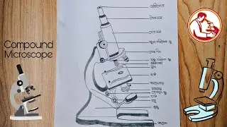 How to draw compound microscope |Easy way to draw compound microscope