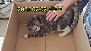 2026.02.02  달님이 