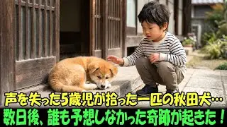 【奇跡の実話】生まれつき口のきけない5歳の少年が、家の前をさまよっていた秋田犬の子犬を救った…数日後、信じられない出来事が起こった！