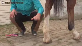 Schweif schneiden - einfach erkl&auml;rt