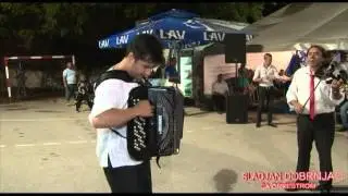 SRDJAN DOBRNJAC - Kolo, Prva Harmonika Sveta - SEVA, harmonika