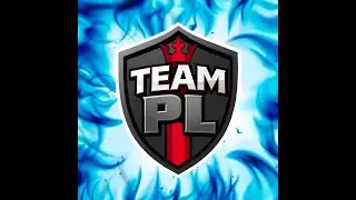 The TEAM PL project