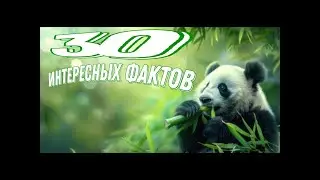 ❓Ты этого не знал!!!❓