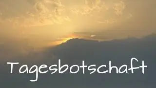 Etwas oder Jemand kommt und dein Leben geht in eine neue Richtung. Tagesbotschaft*zeitlos*