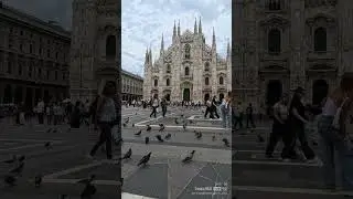 Duomo di Milano 🇮🇹 #trendingshorts #viralshort #italy #milano