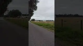 peace.....paz...rural... zona rural...FL USA....